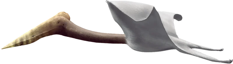 Eurazhdarcho