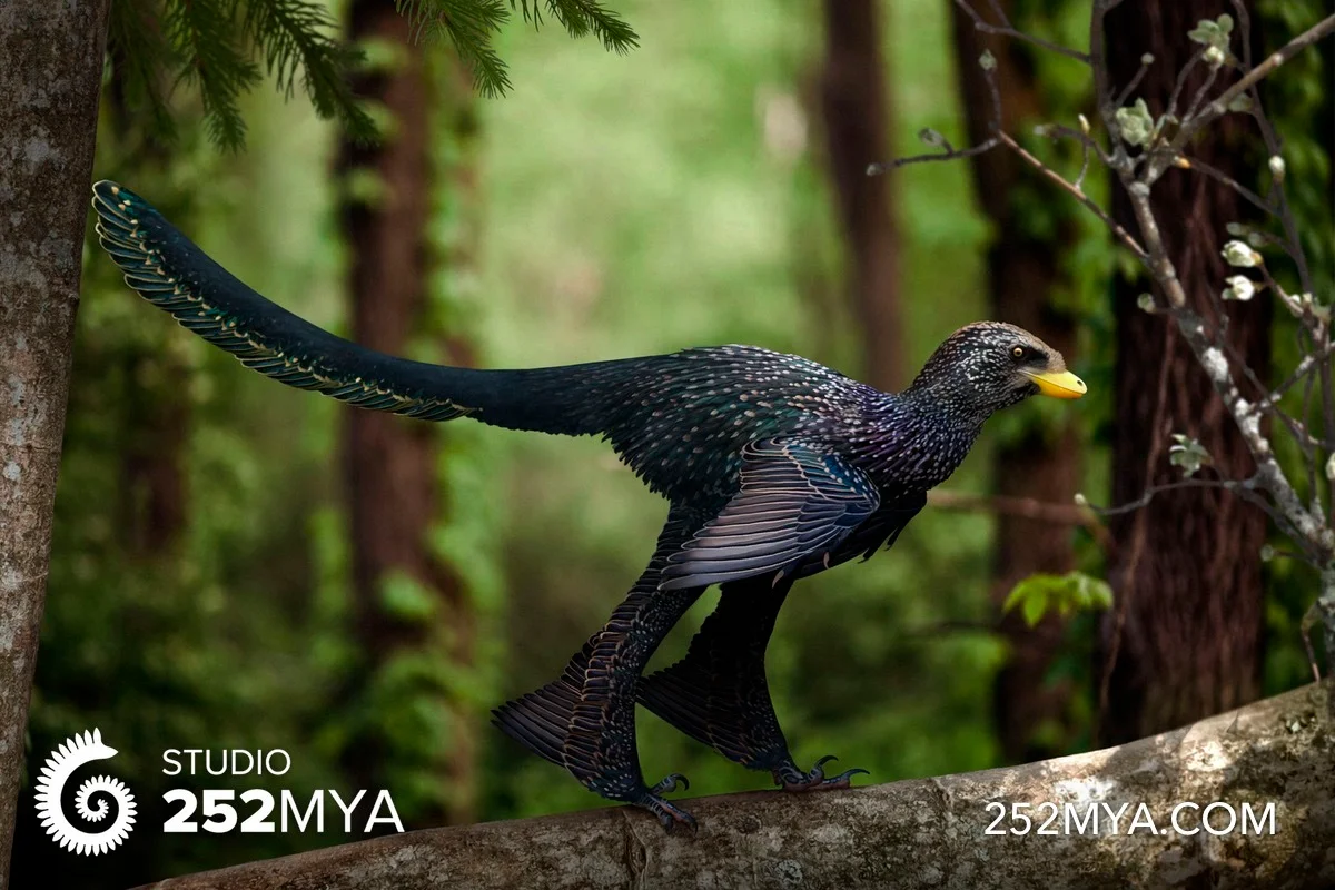 Zhongjianosaurus yangi