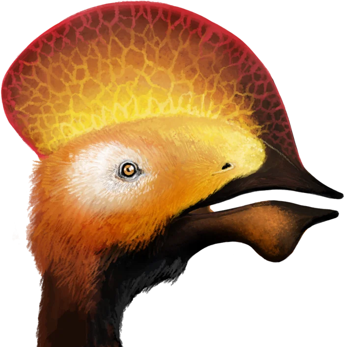 Tapejara