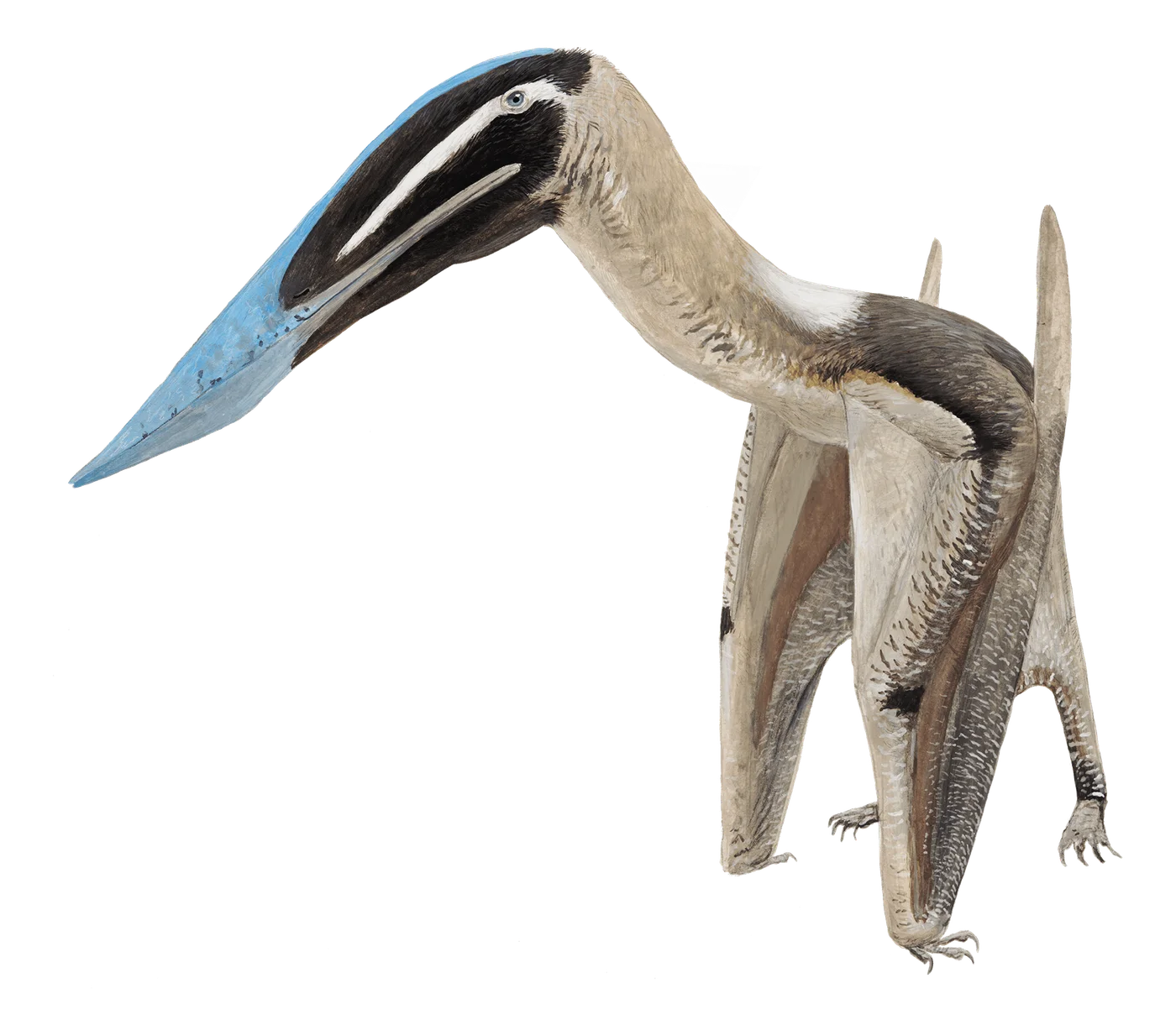 Keresdrakon