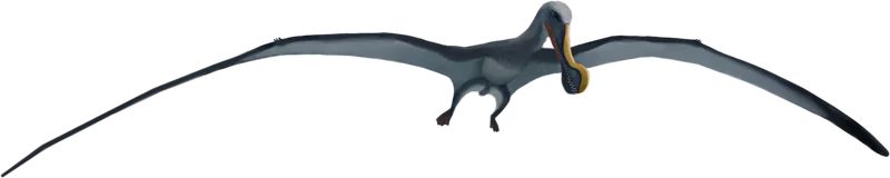 Anhanguera