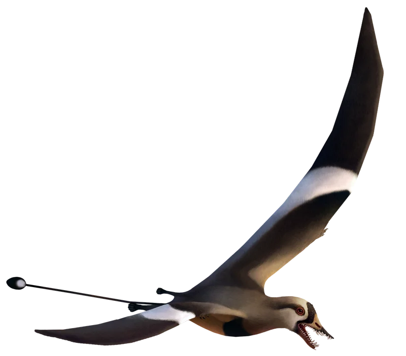 Qinglongopterus