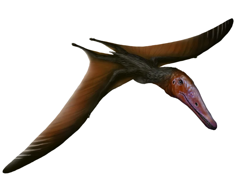 Longchengpterus