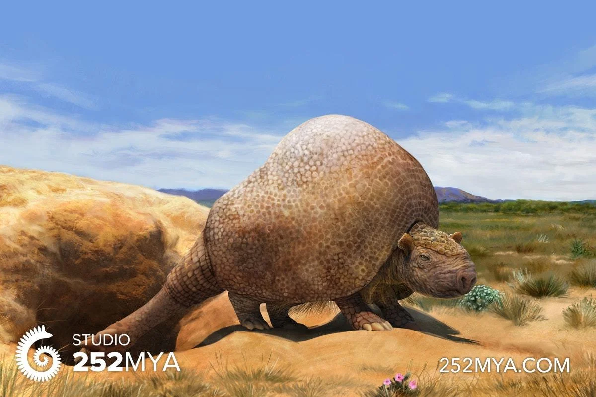 Life reconstruction of a glyptodont