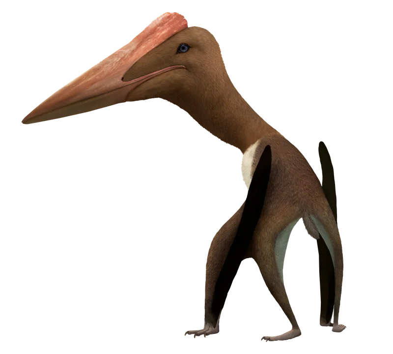 Bogolubovia