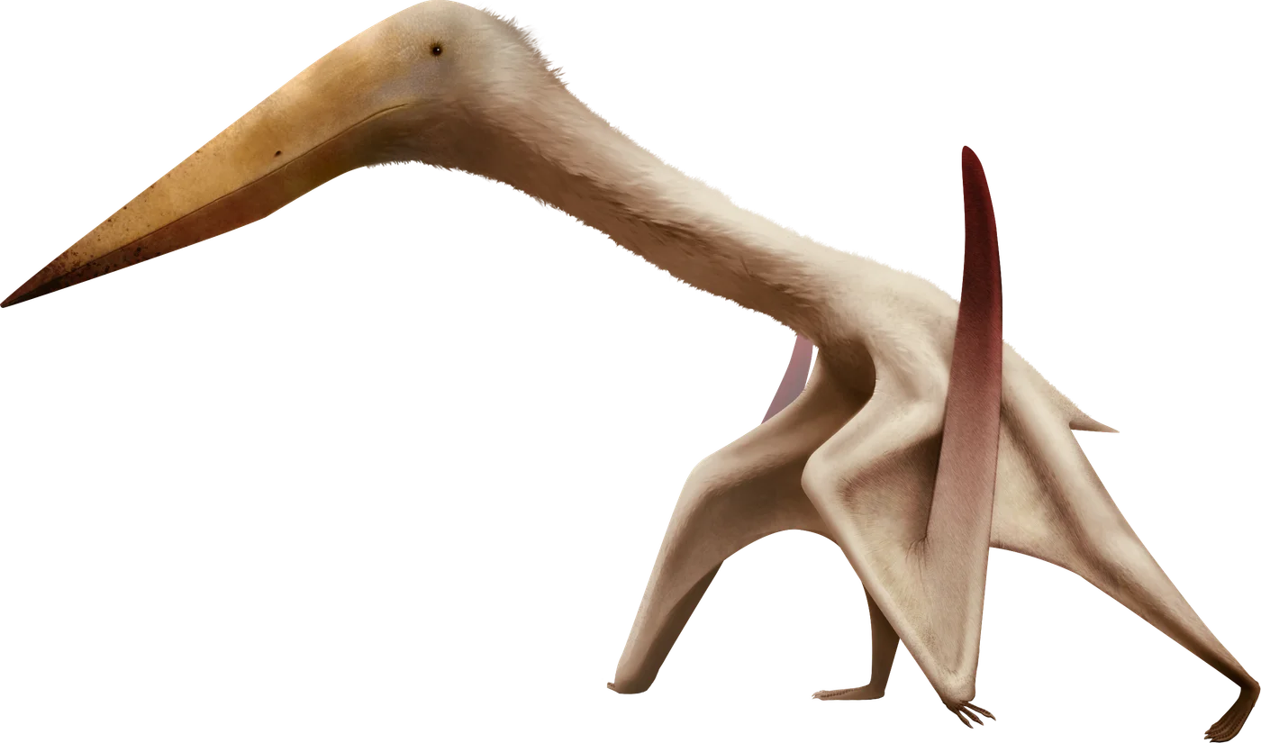 Zhejiangopterus