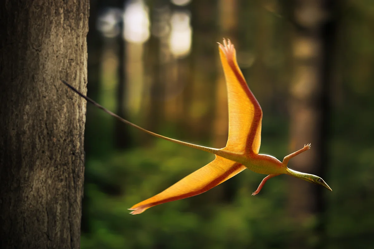 Sharovipteryx on a glide