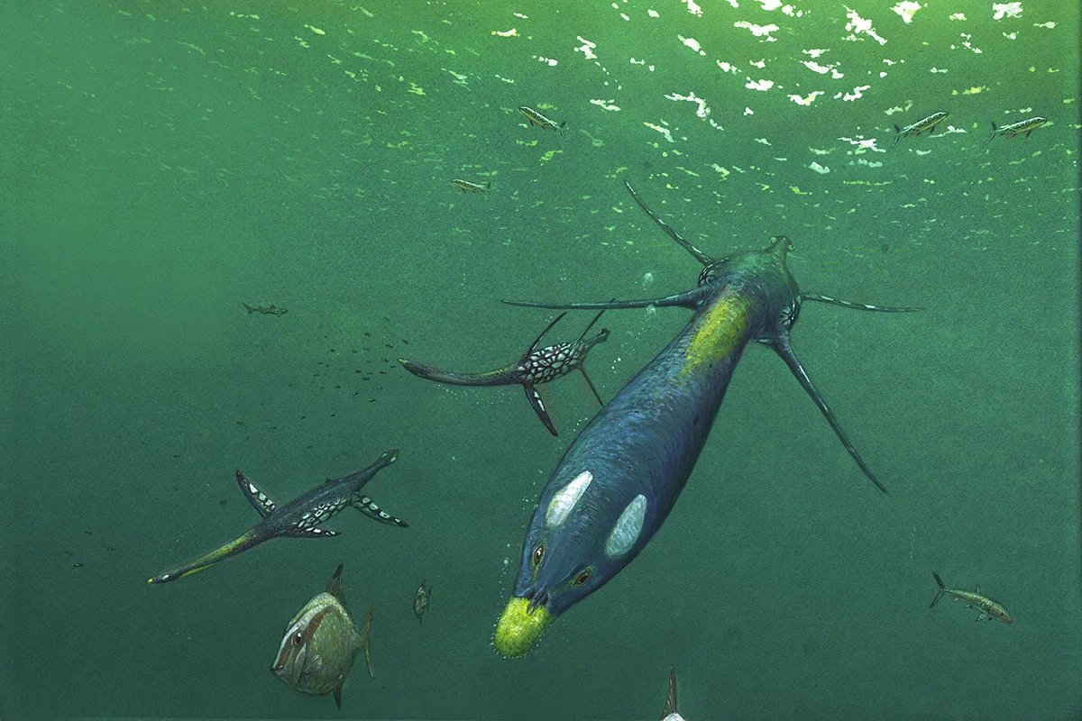 Plesiosaurs were marine reptiles that flourished around the time non-avian dinosaurs existed on land.