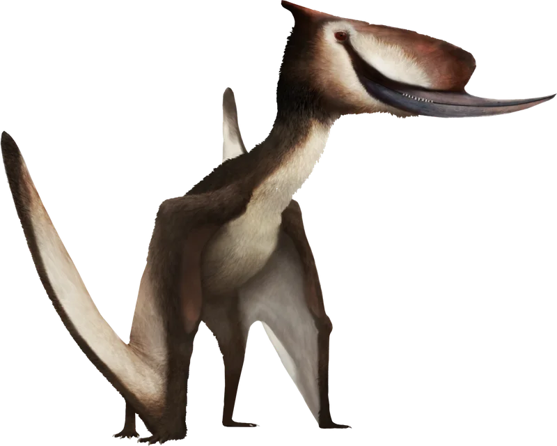 Dsungaripterus