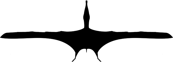Ornithocheiridae