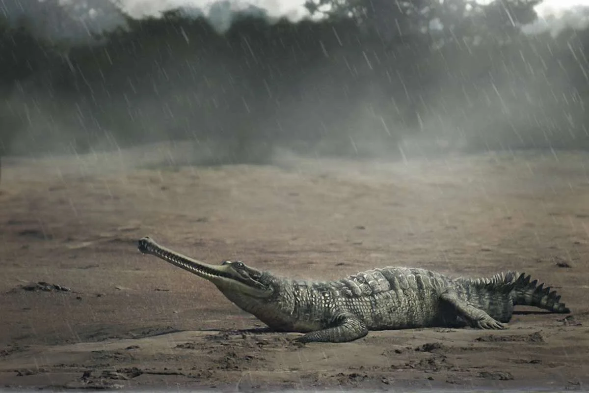 Gryposuchus pachakamue