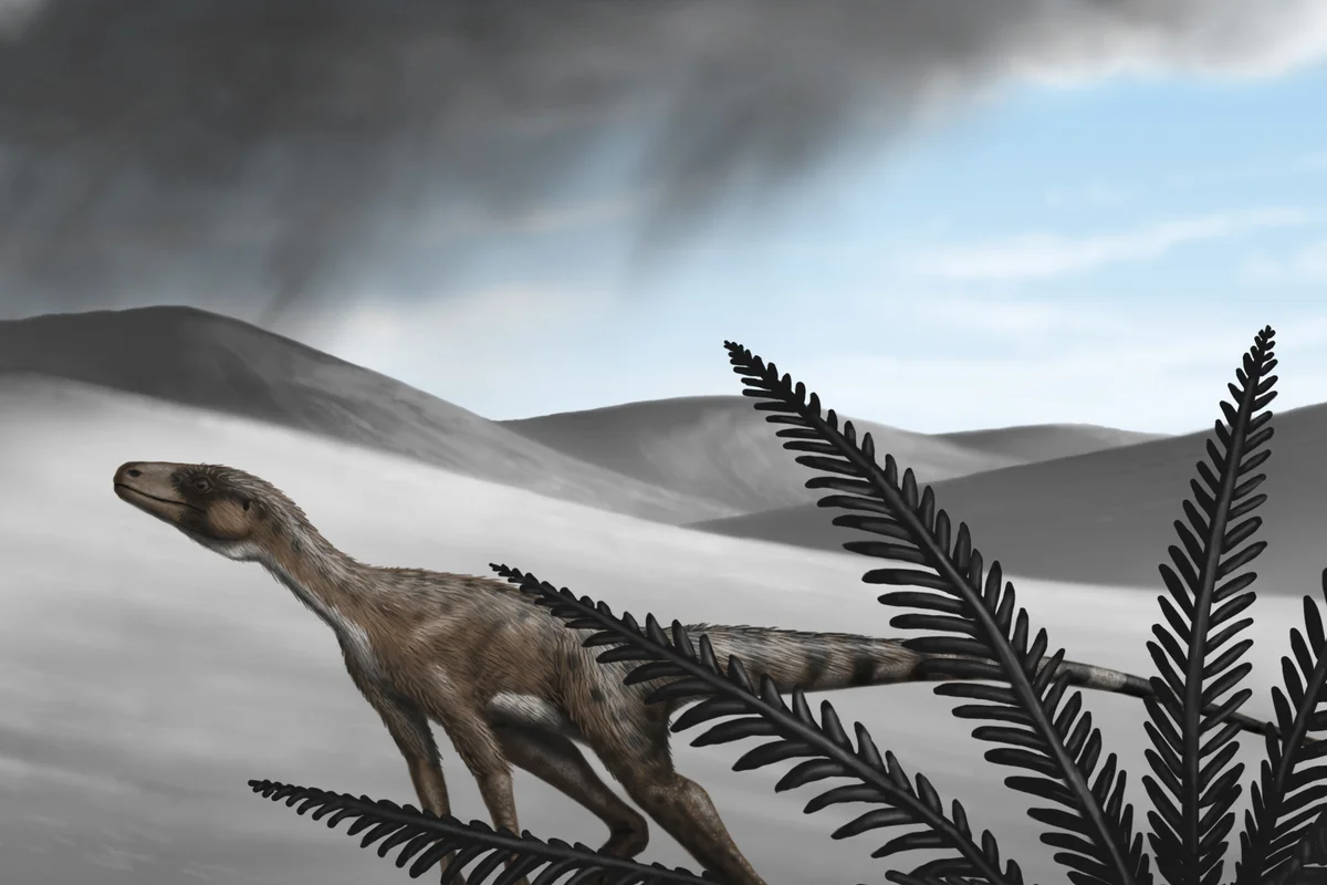 Marasuchus flees from a volcano