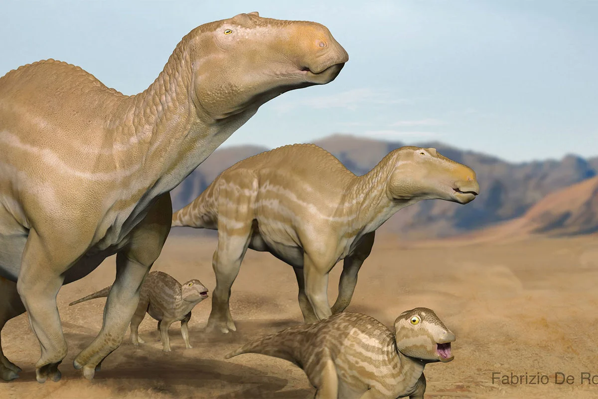 Maiasaura