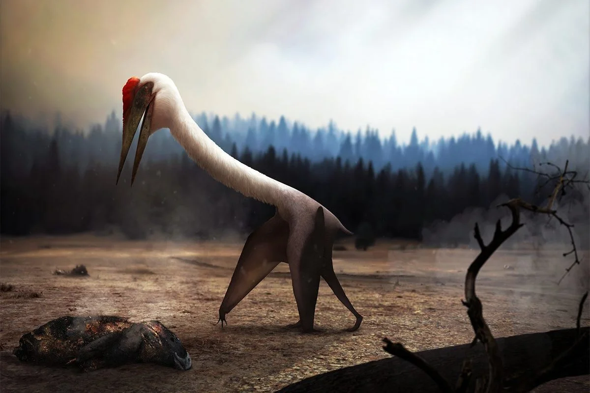A Quetzalcoatlus inspects the ground for food in the aftermath of a forest fire. 