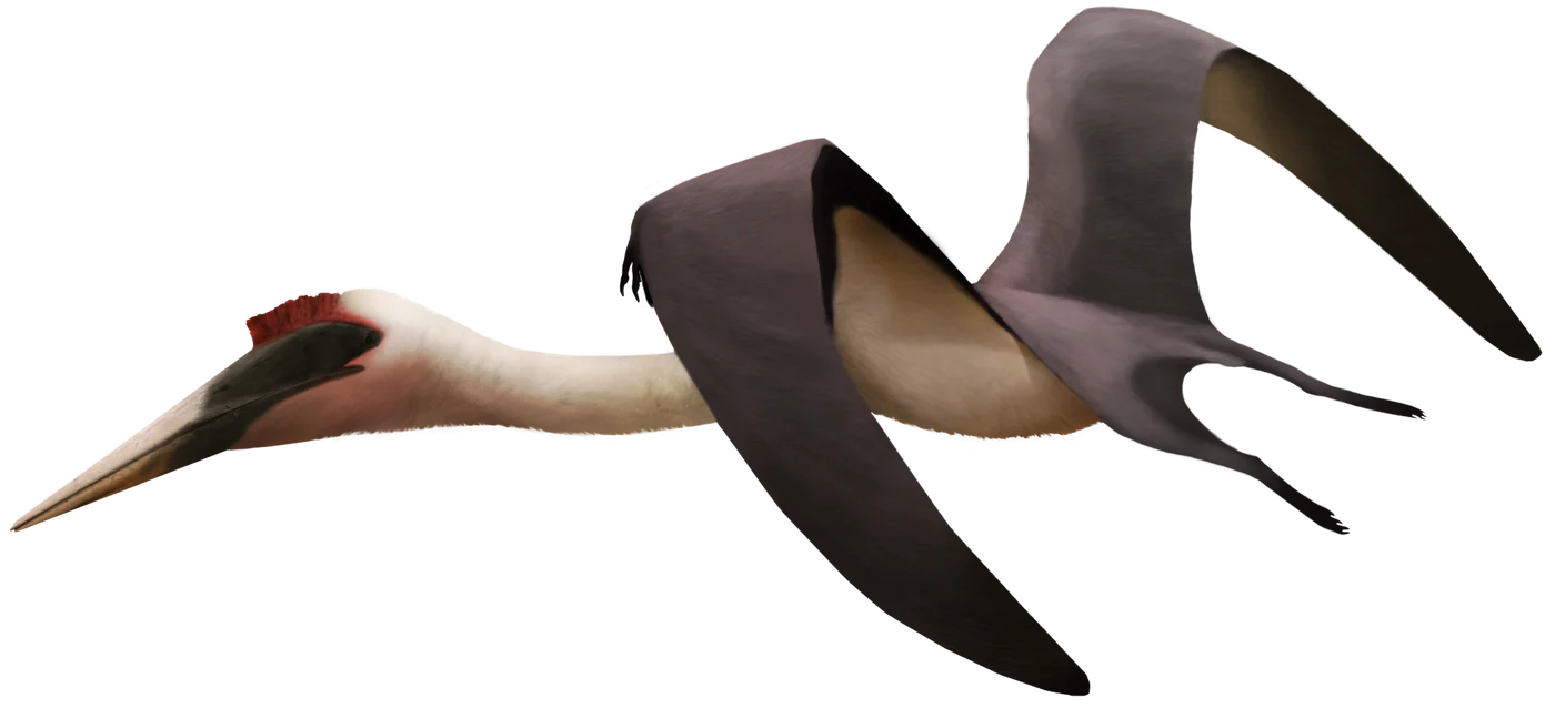 Quetzalcoatlus