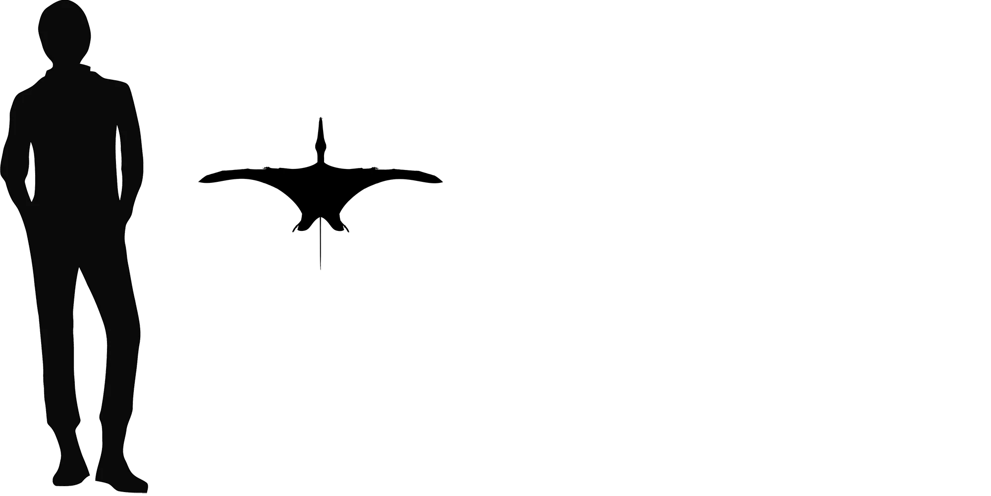 Archaeoistiodactylus wingspan comparison