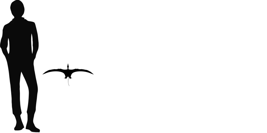 Carniadactylus wingspan comparison