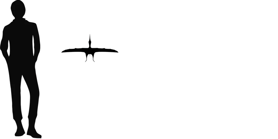 Vectidraco wingspan comparison