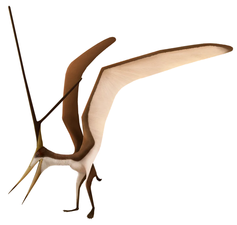 Nyctosaurus