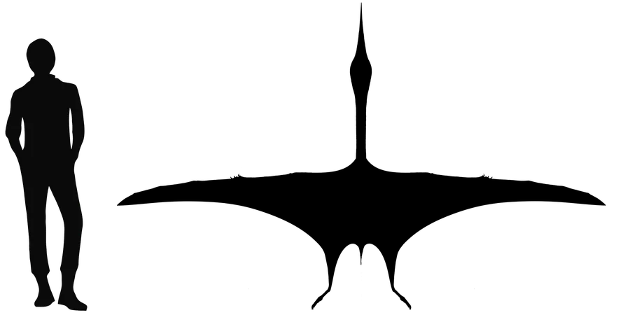 Zhejiangopterus wingspan comparison