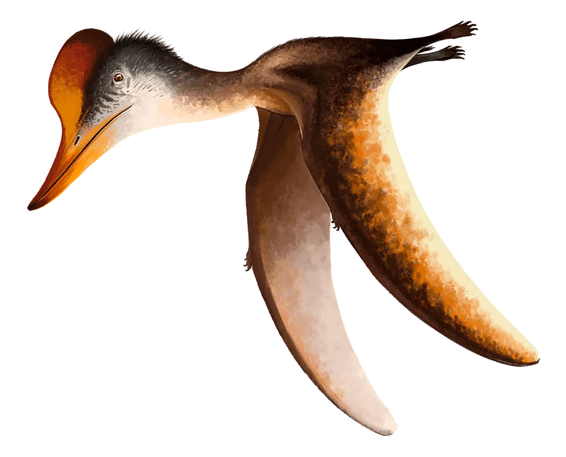 Kepodactylus