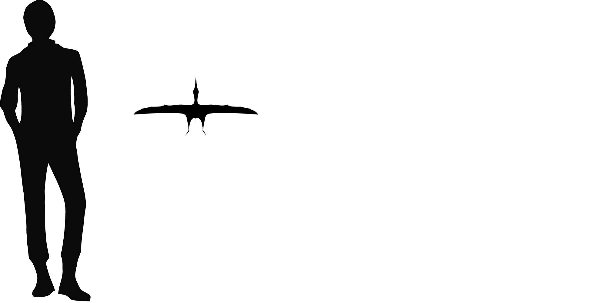 Vectidraco wingspan comparison