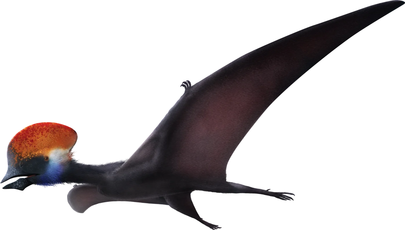 Tapejara