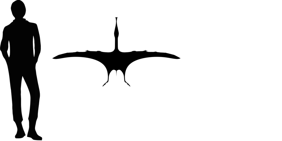 Gnathosaurus wingspan comparison