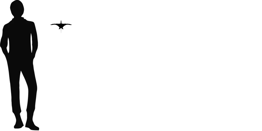 Bellubrunnus wingspan comparison