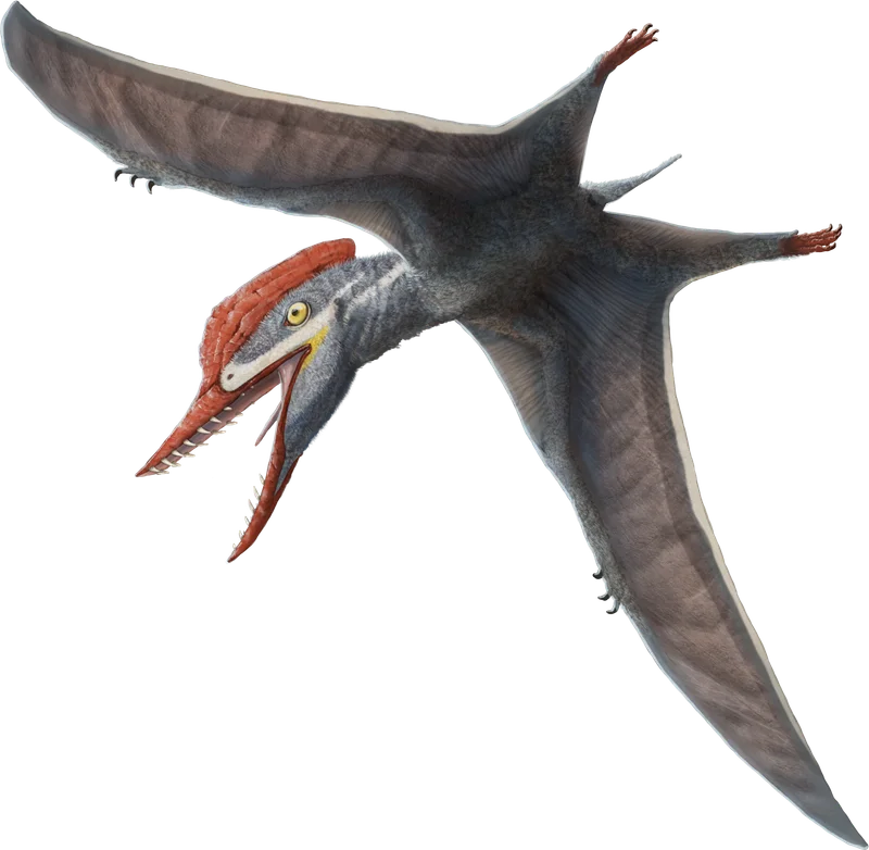 Tendaguripterus