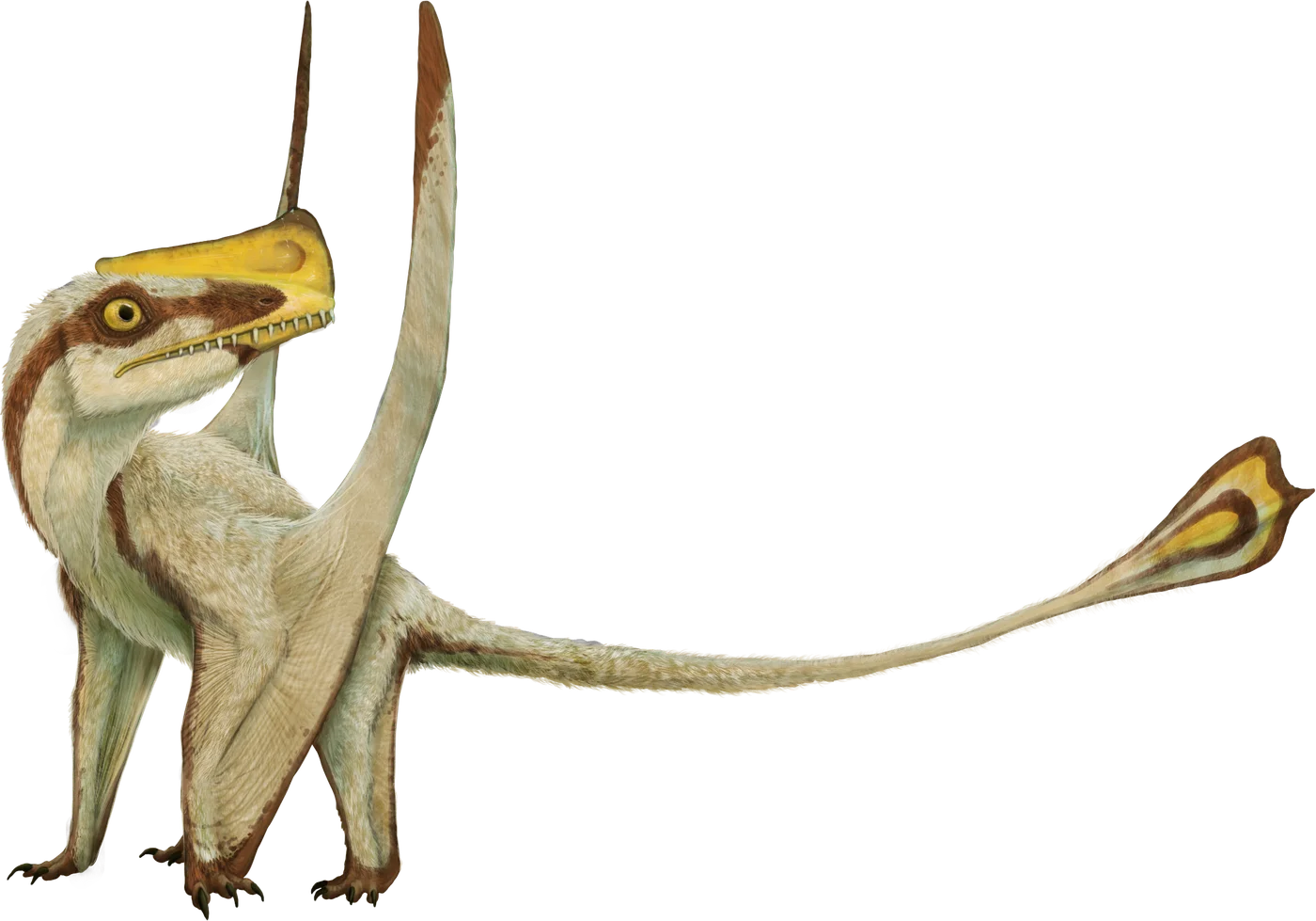 Austriadactylus