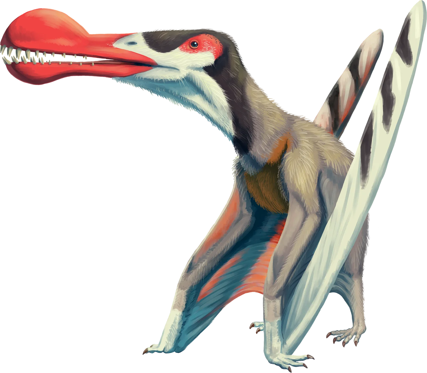 Ornithocheirus
