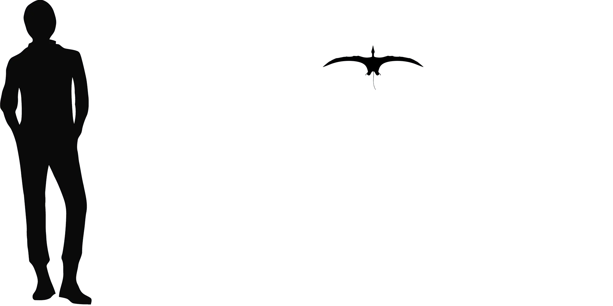 Peteinosaurus wingspan comparison