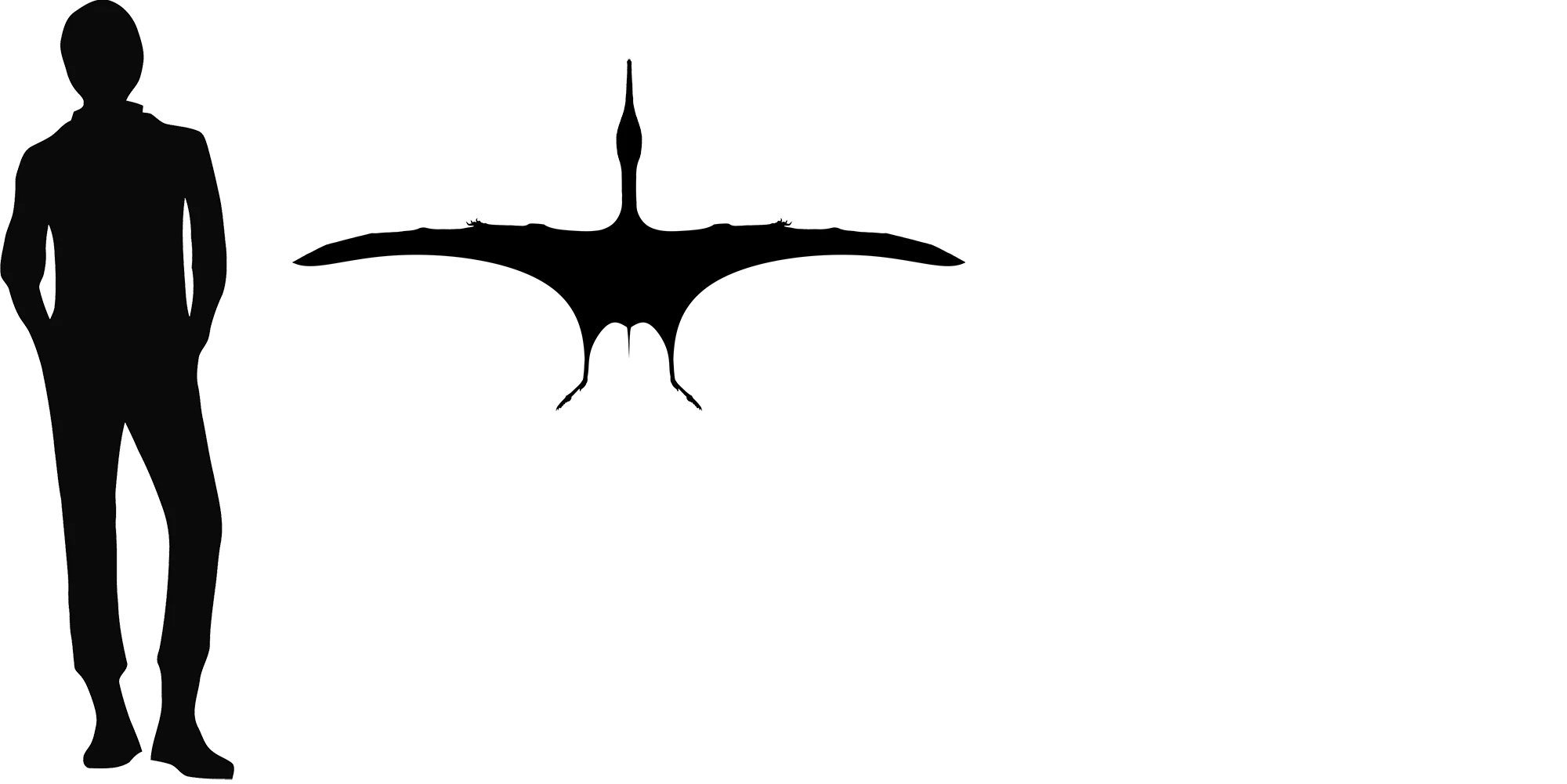 Ardeadactylus wingspan comparison