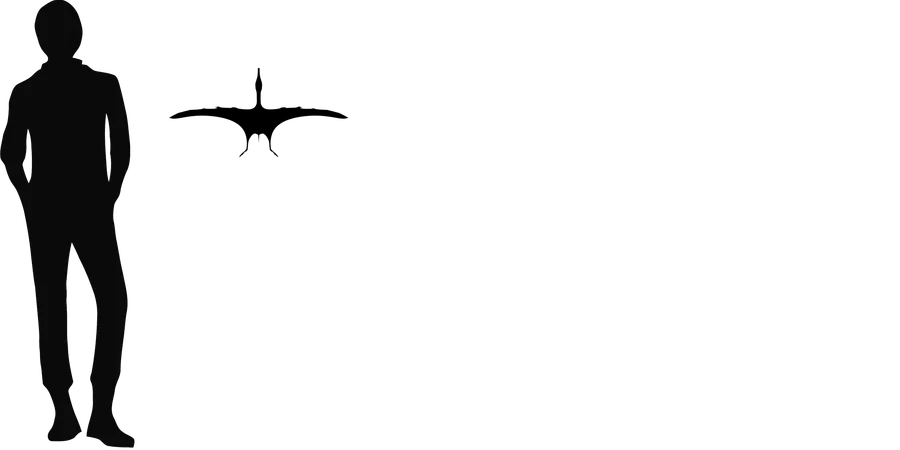 Normannognathus wingspan comparison