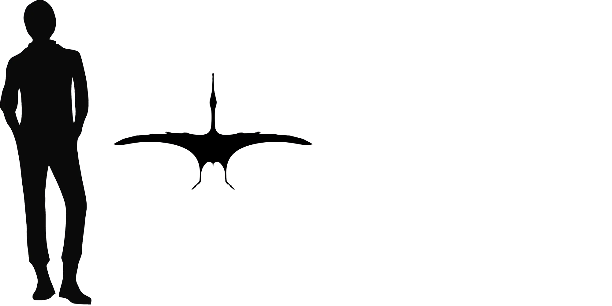 Pterofiltrus wingspan comparison