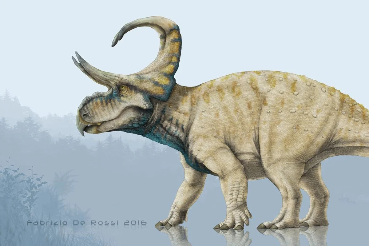 Machairoceratops cronusi