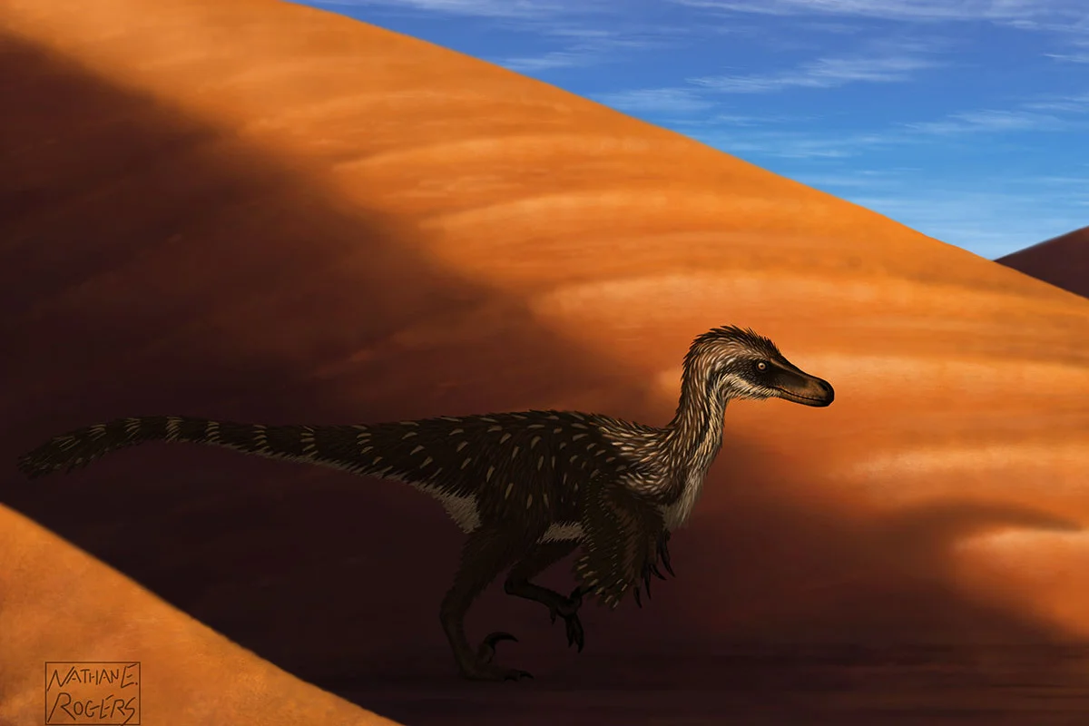 Velociraptor mongoliensis