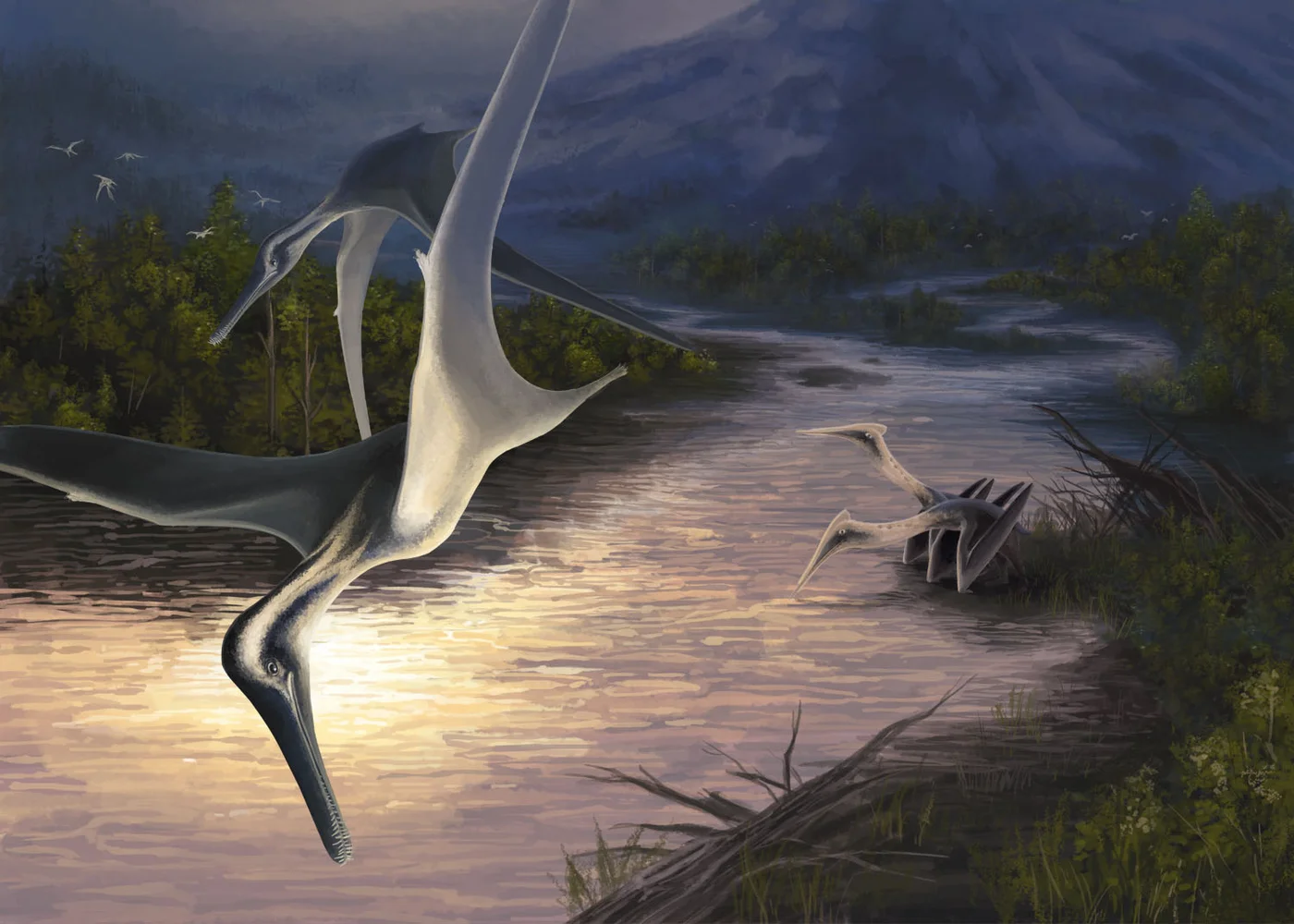 Yixian Formation
