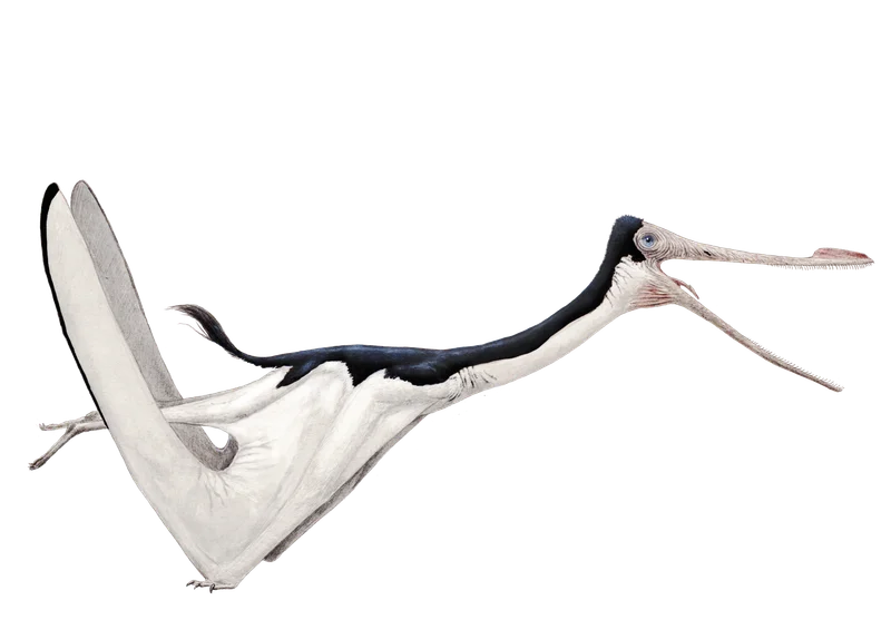 Gegepterus