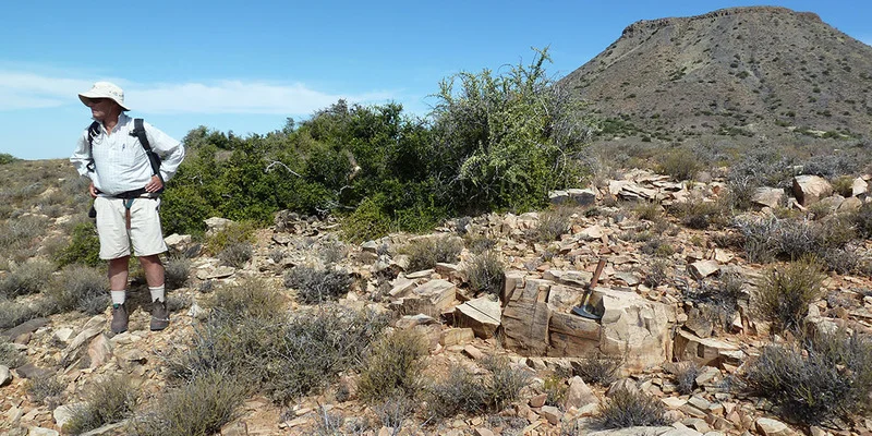 Karoo Rocks