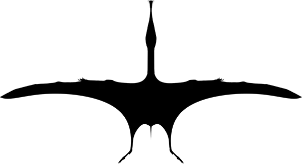 Ctenochasmatidae