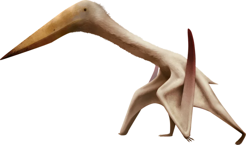 Zhejiangopterus