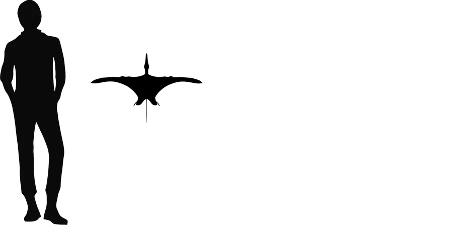 Archaeoistiodactylus wingspan comparison
