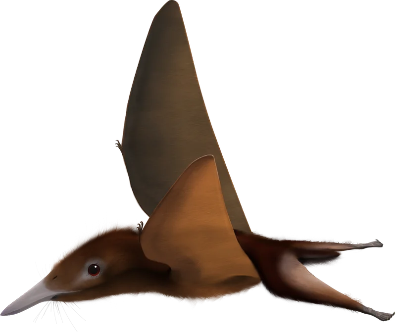 Nemicolopterus
