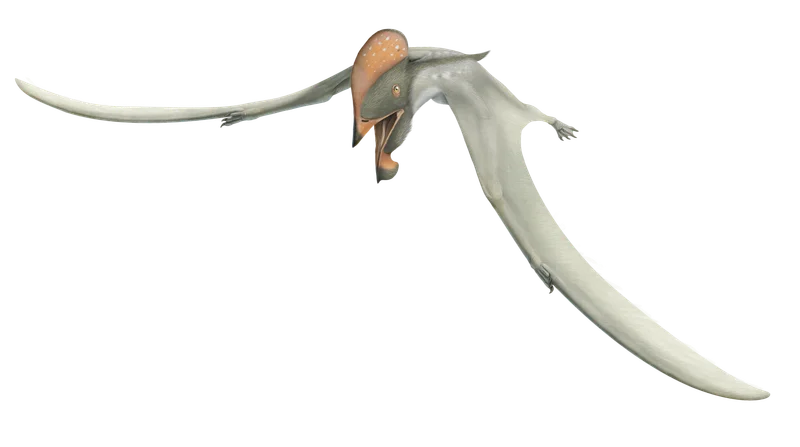 Europejara