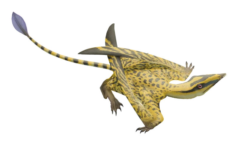 Faxinalipterus