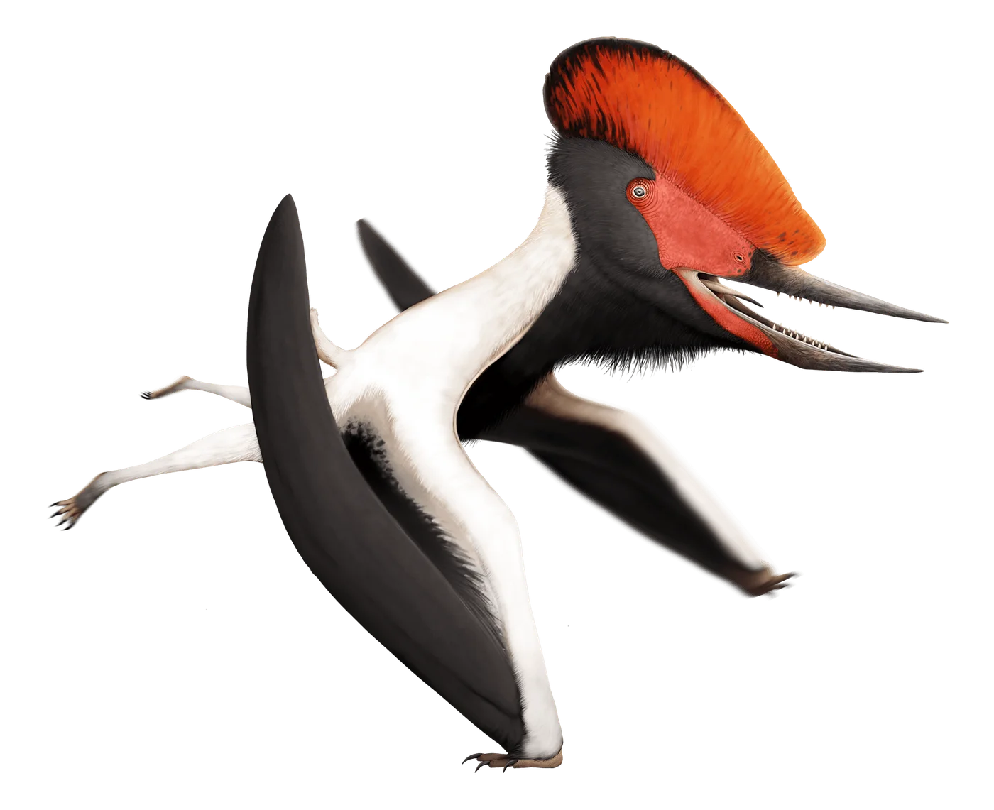 Lonchognathosaurus