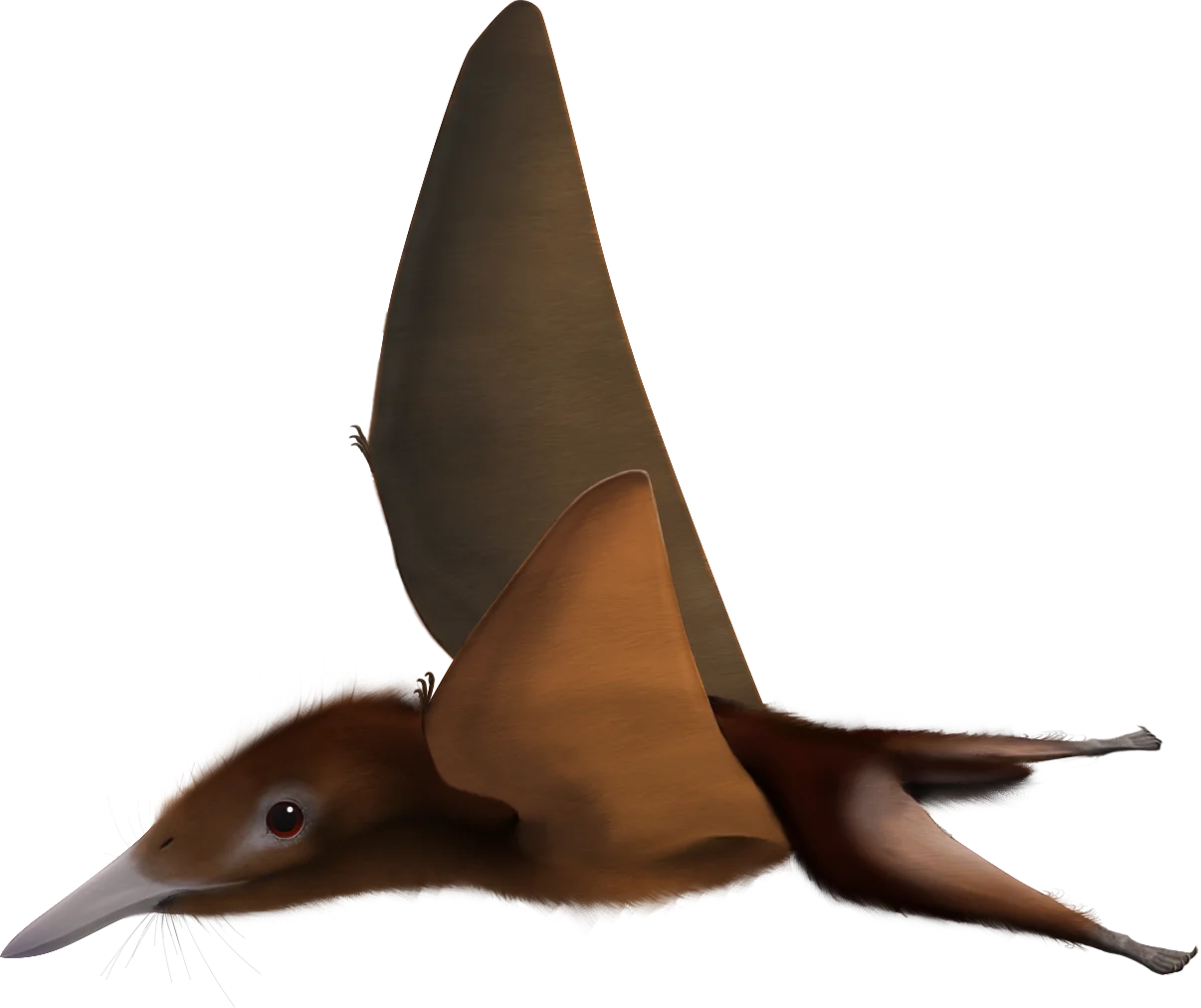 Nemicolopterus