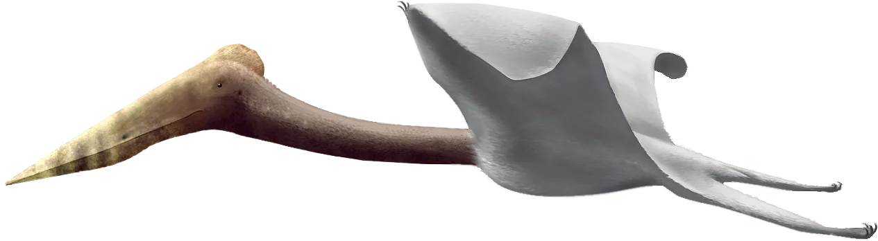 Eurazhdarcho